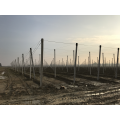 Concrete Poles